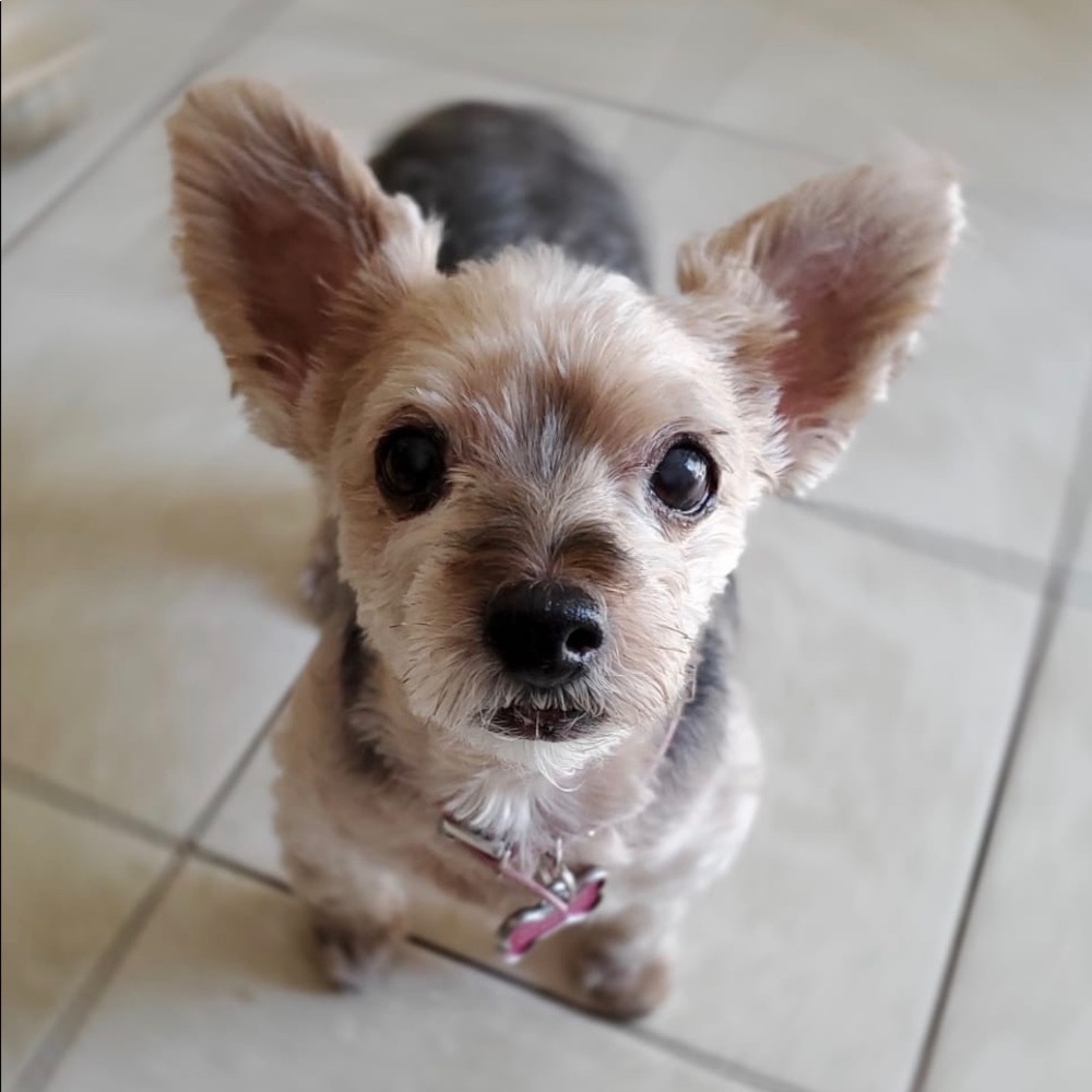 Meet your Posher, Johana